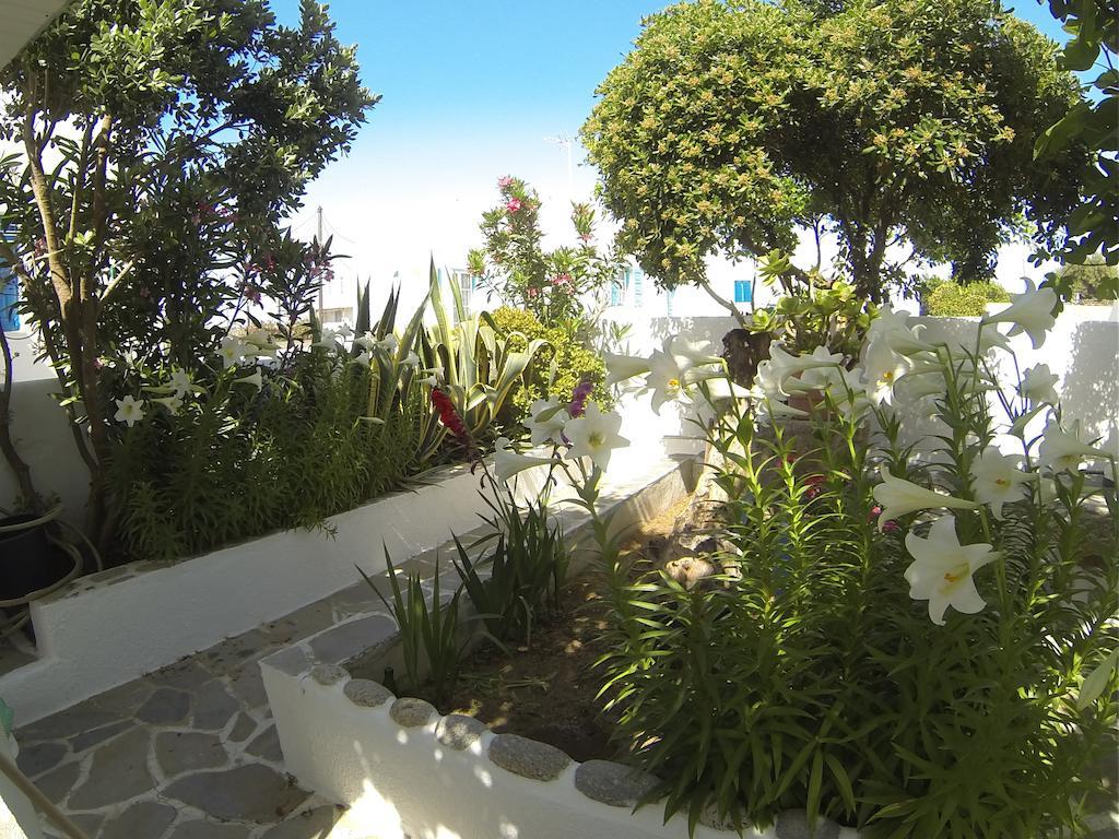 ホテル カヴァキ スタジオズ Mykonos Town 部屋 写真
